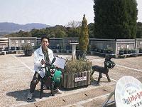 ニコティー(仮称)