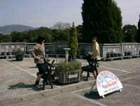 �S�c��������g��